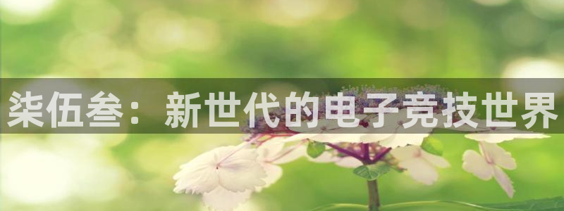 多彩娱乐网页版地址：柒伍叁：新世代的电子竞技世界
