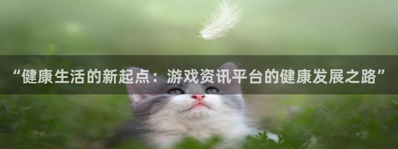 多彩娱乐代理登陆：“健康生活的新起点：游戏资讯平台的健康发展