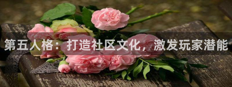 多彩娱乐主管：第五人格：打造社区文化，激发玩家潜能