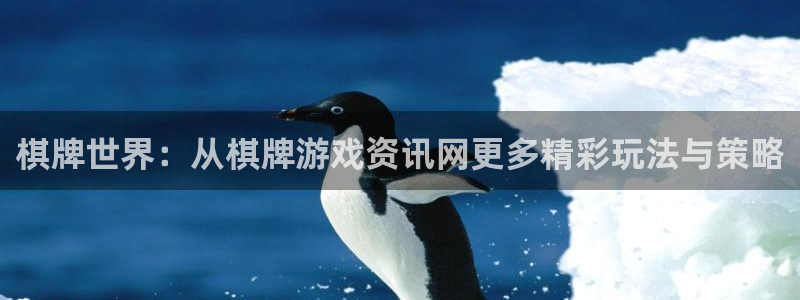 多彩娱乐平台登陆：棋牌世界：从棋牌游戏资讯网更多精彩玩法与策