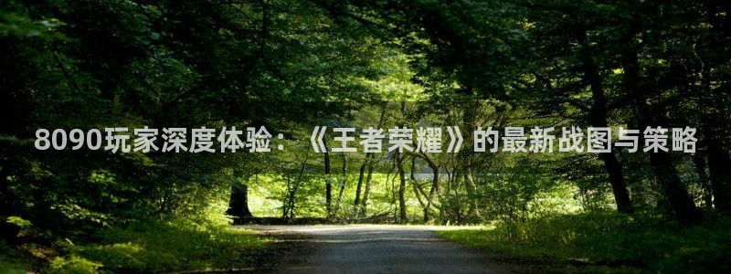 手机多彩娱乐下载安装：8090玩家深度体验：《王者荣耀》的最