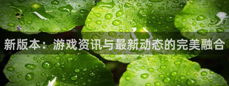 多彩娱乐代理登陆：新版本：游戏资讯与最新动态的完美融合