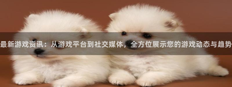 多彩娱乐4开户：最新游戏资讯：从游戏平台到社交媒体，全方位展