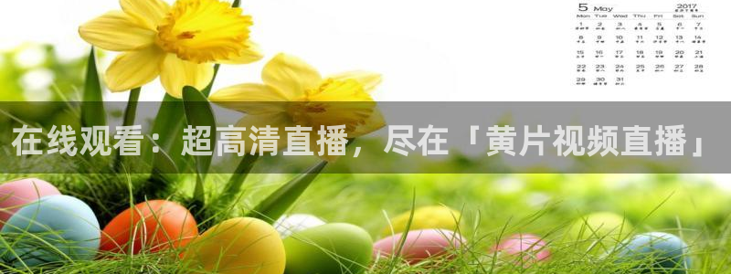 熊猫在线直播：在线观看：超高清直播，尽在「黄片视频直播」