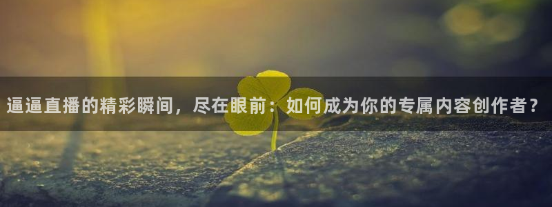 熊猫直播下载官网：逼逼直播的精彩瞬间，尽在眼前：如何成为你的专属内容创作者？