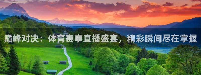 熊猫体育直播新的好游戏.认证网.org：巅峰对决：体育赛事直播盛宴，精彩瞬间尽在掌握