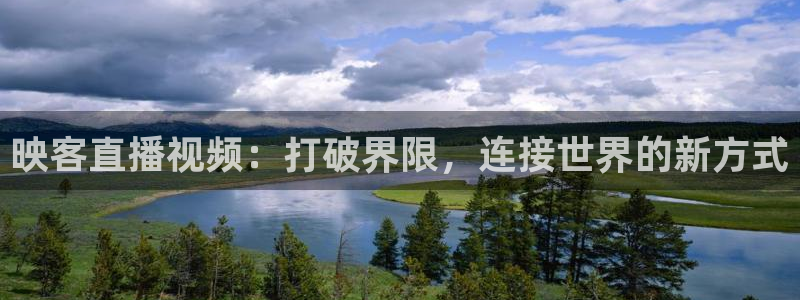 熊猫体育手机版下载：映客直播视频：打破界限，连接世界的新方式