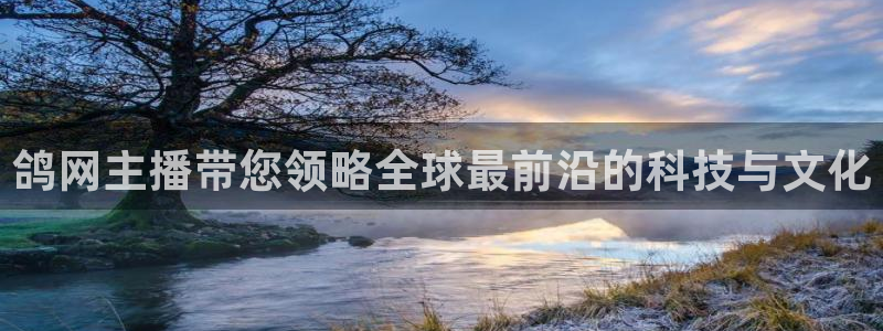 熊猫体育平台：鸽网主播带您领略全球最前沿的科技与文化